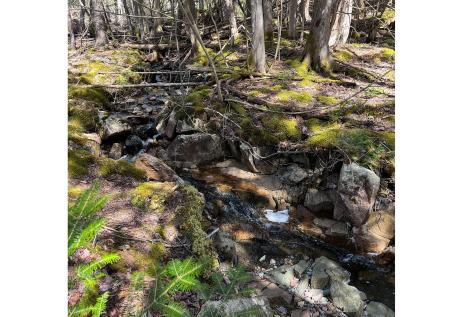 341 Summer Harbor Road Winter Harbor ME 04693