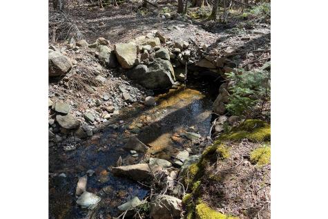 341 Summer Harbor Road Winter Harbor ME 04693