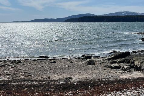 341 Summer Harbor Road Winter Harbor ME 04693