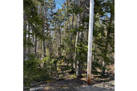 341 Summer Harbor Road Winter Harbor ME 04693