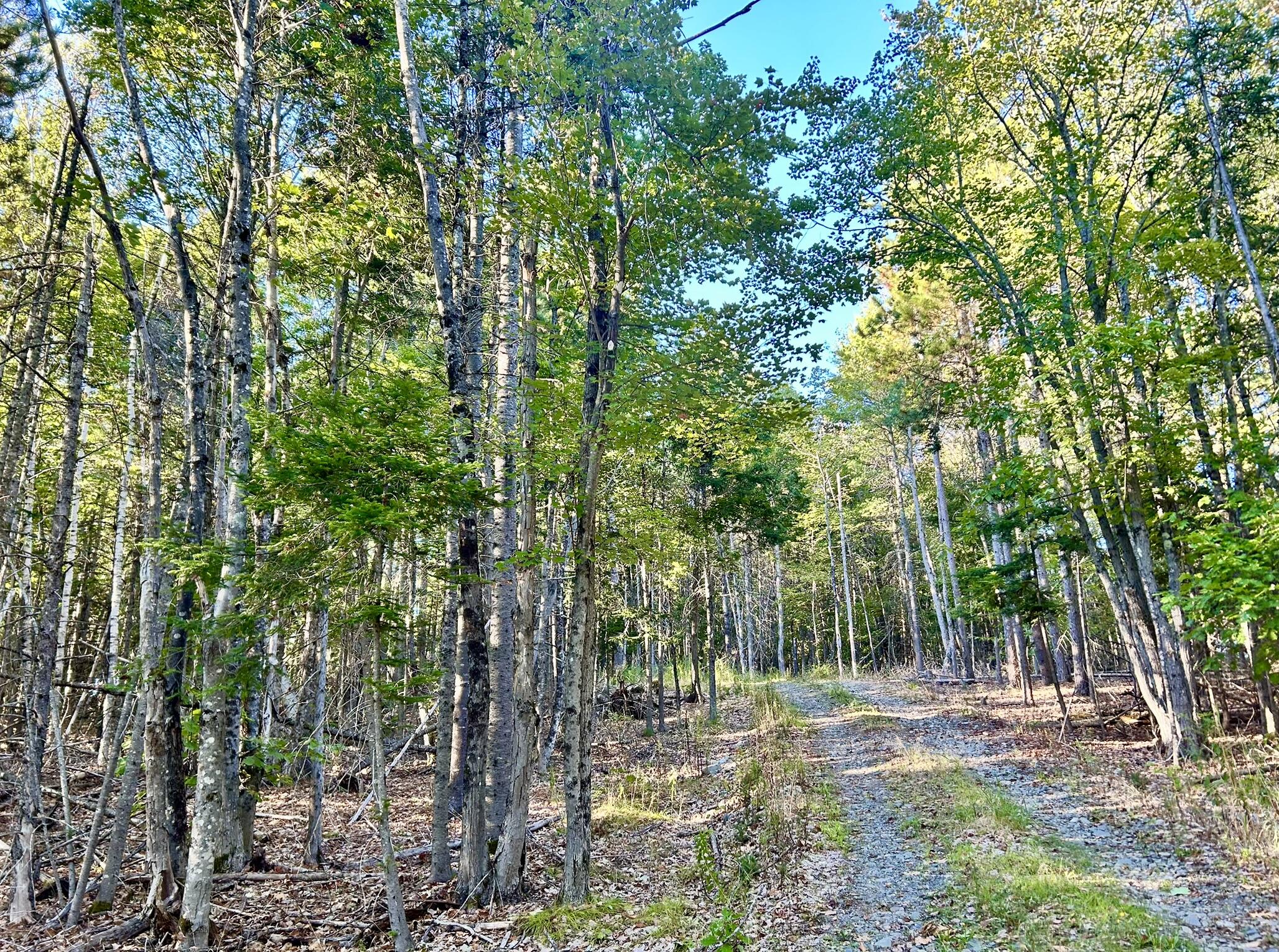 Map 11 Lot 8 Gray Road Sangerville ME 04479