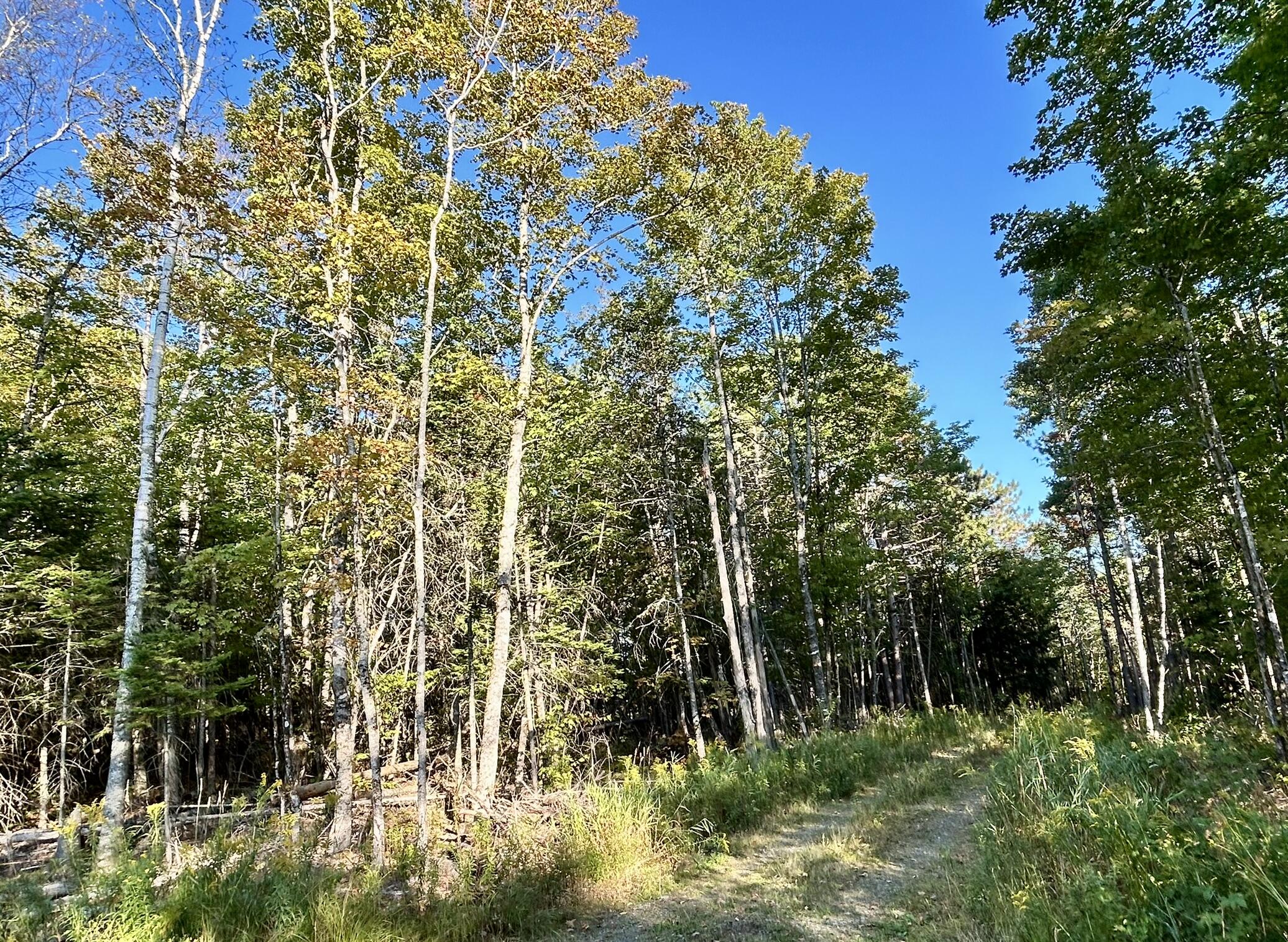 Map 11 Lot 8 Gray Road Sangerville ME 04479