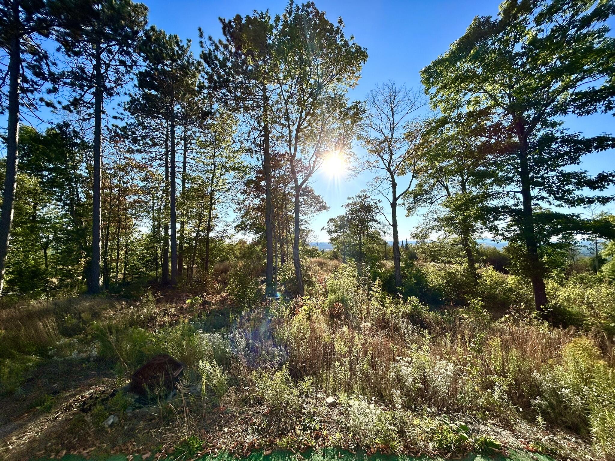 Map 11 Lot 8 Gray Road Sangerville ME 04479