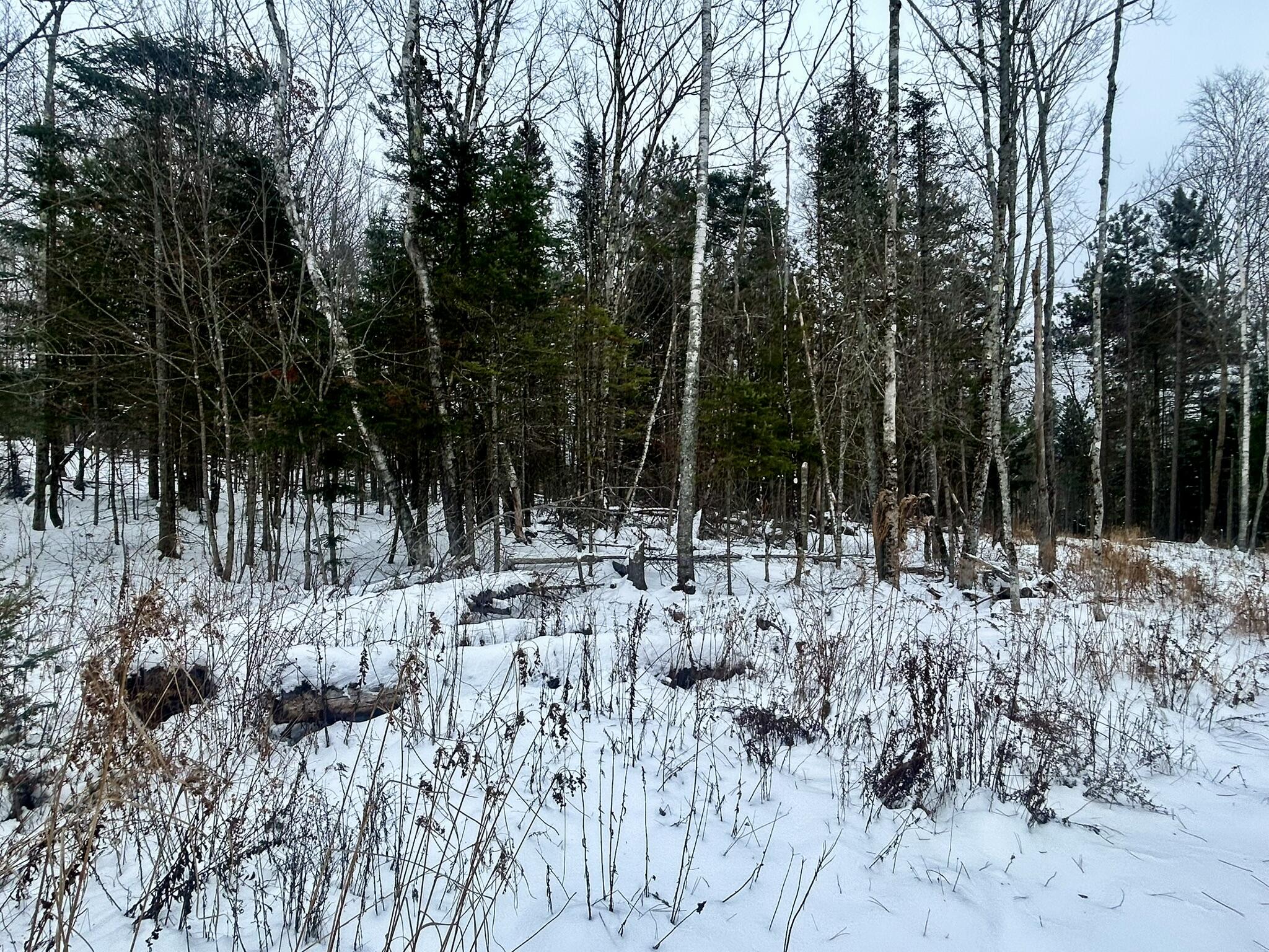 Map 11 Lot 8 Gray Road Sangerville ME 04479