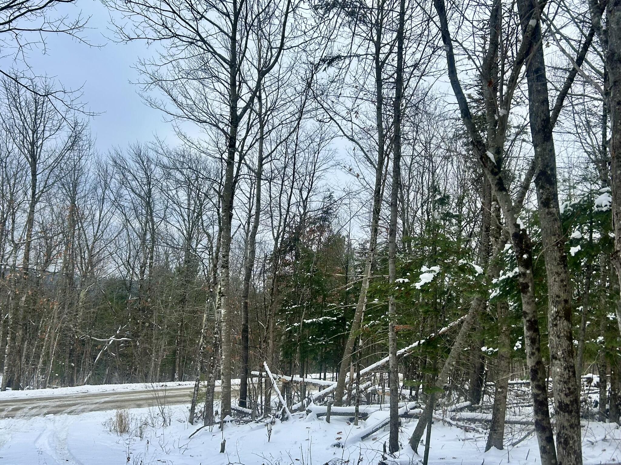 Map 11 Lot 8 Gray Road Sangerville ME 04479