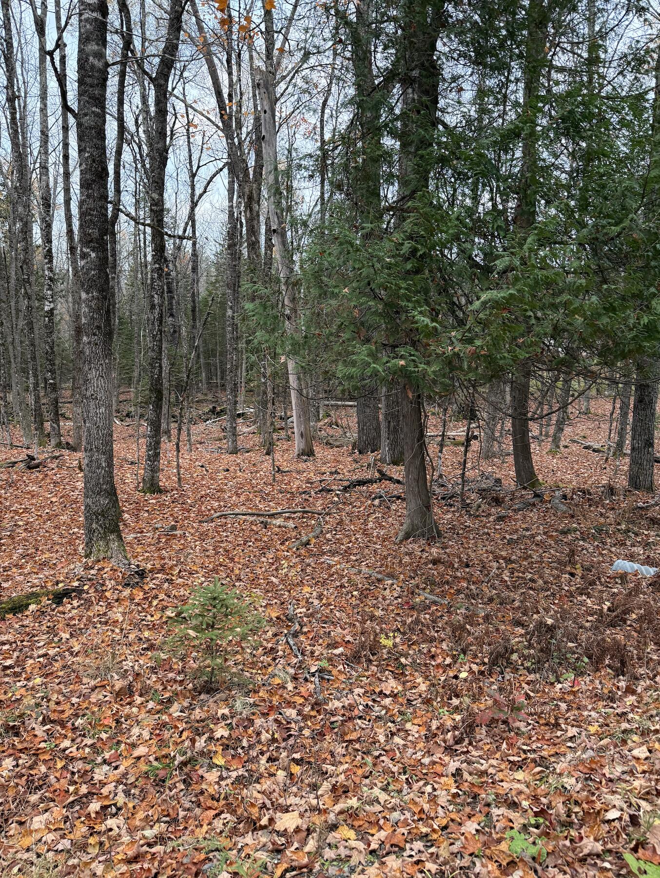 Lot 18 Shore Road Dexter ME 04930