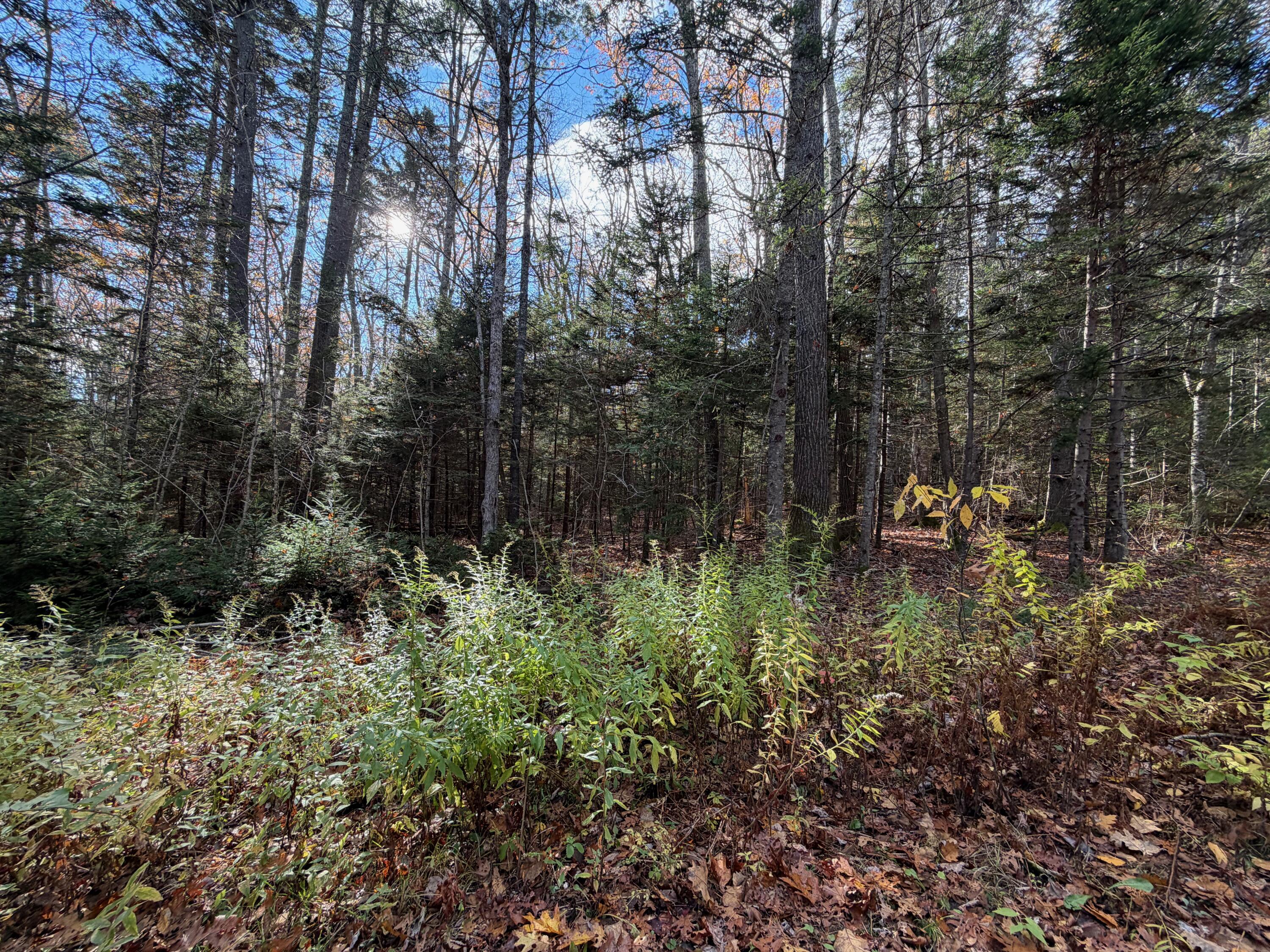 0 Lockhart Cove Road Bristol ME 04558