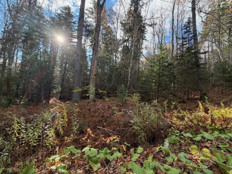 0 Lockhart Cove Road Bristol ME 04558