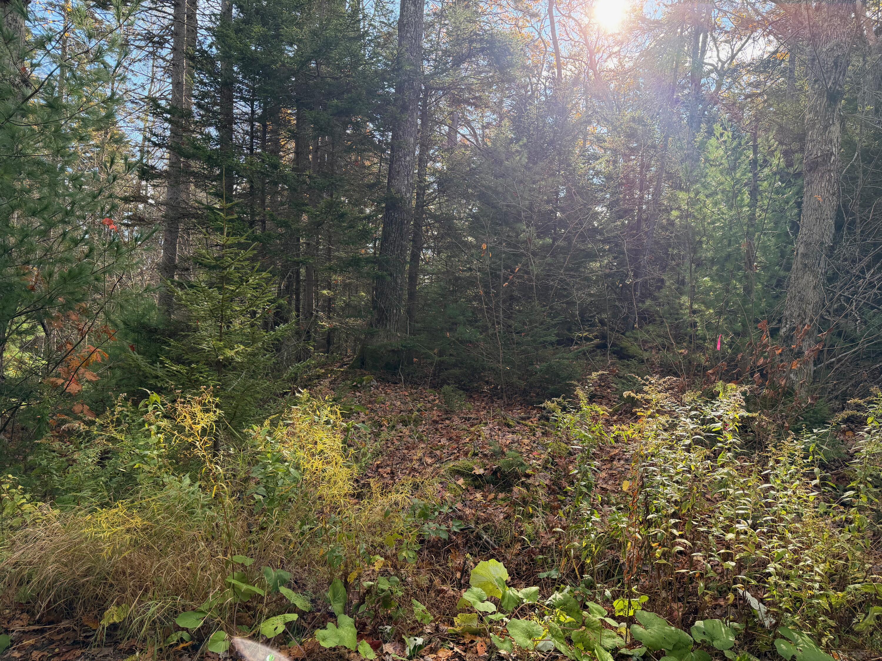 0 Lockhart Cove Road Bristol ME 04558