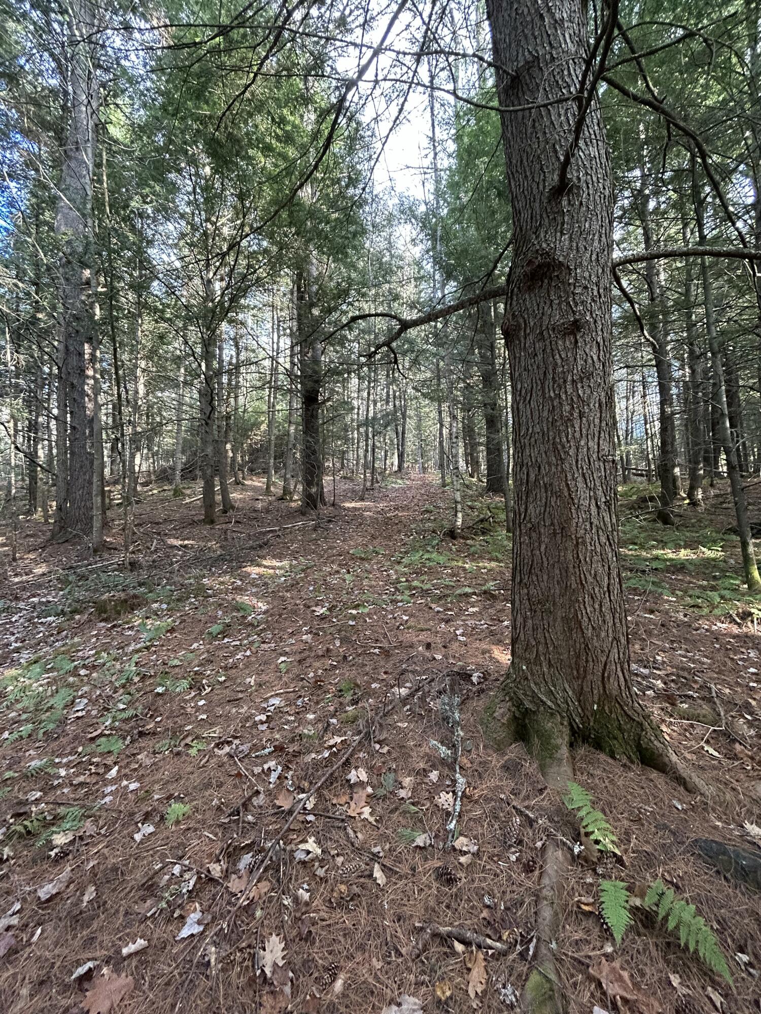 0 Stream View Drive Skowhegan ME 04976