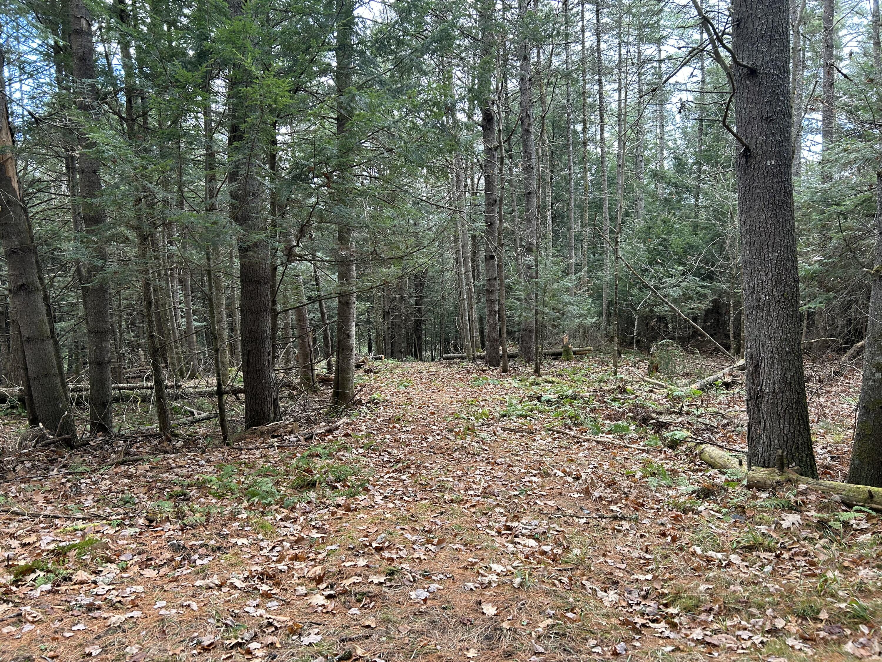 0 Stream View Drive Skowhegan ME 04976