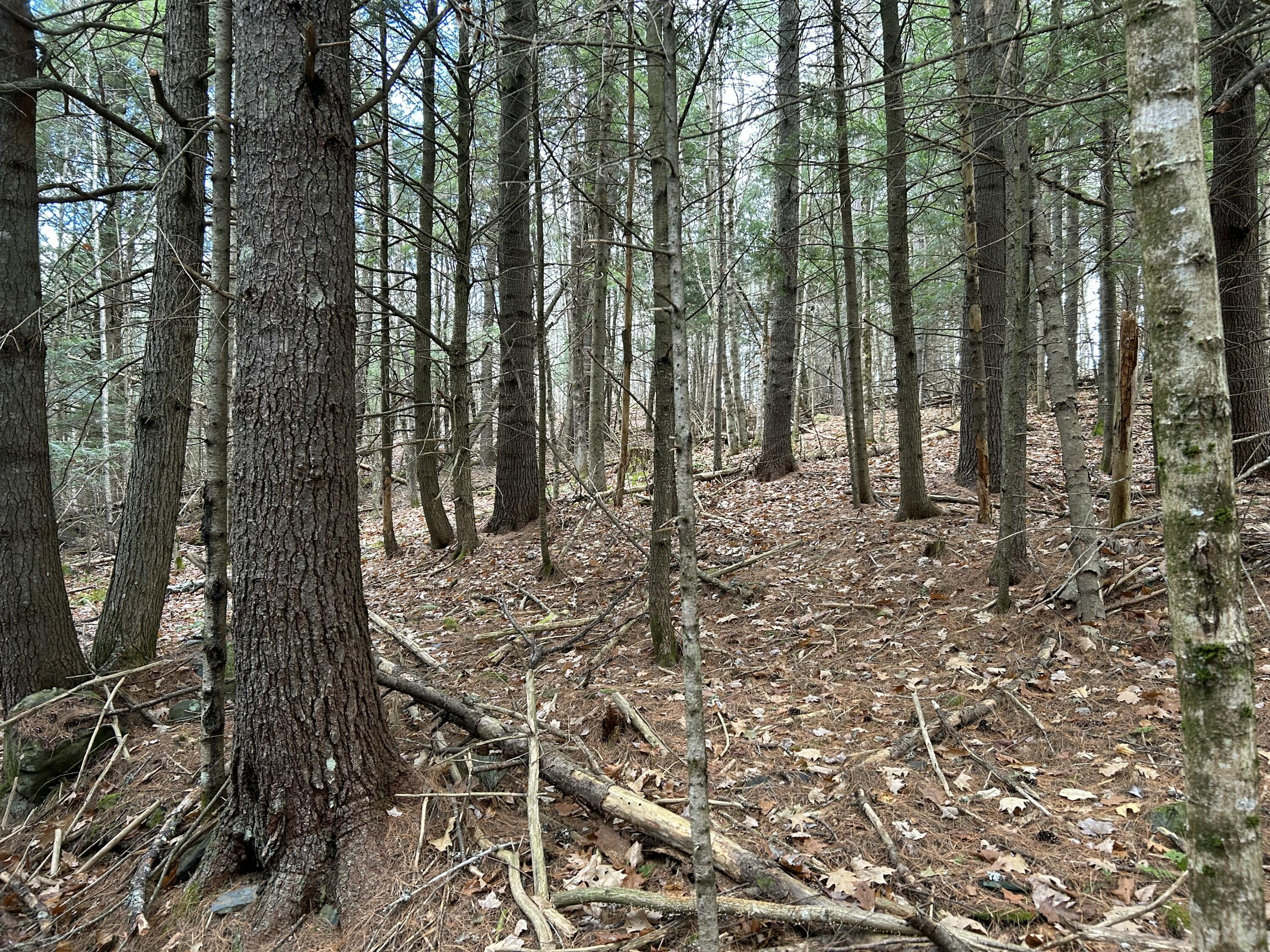 0 Stream View Drive Skowhegan ME 04976