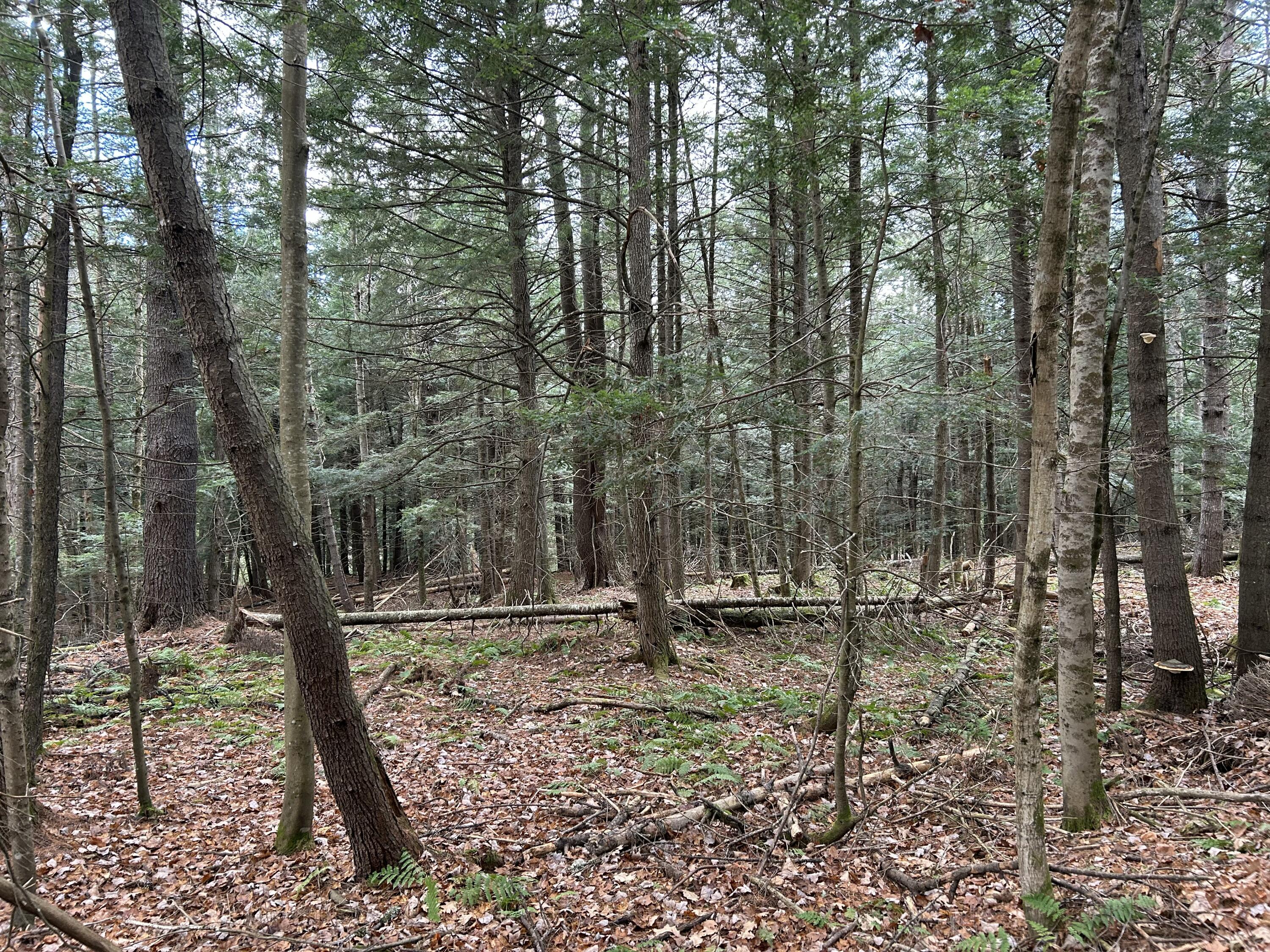0 Stream View Drive Skowhegan ME 04976