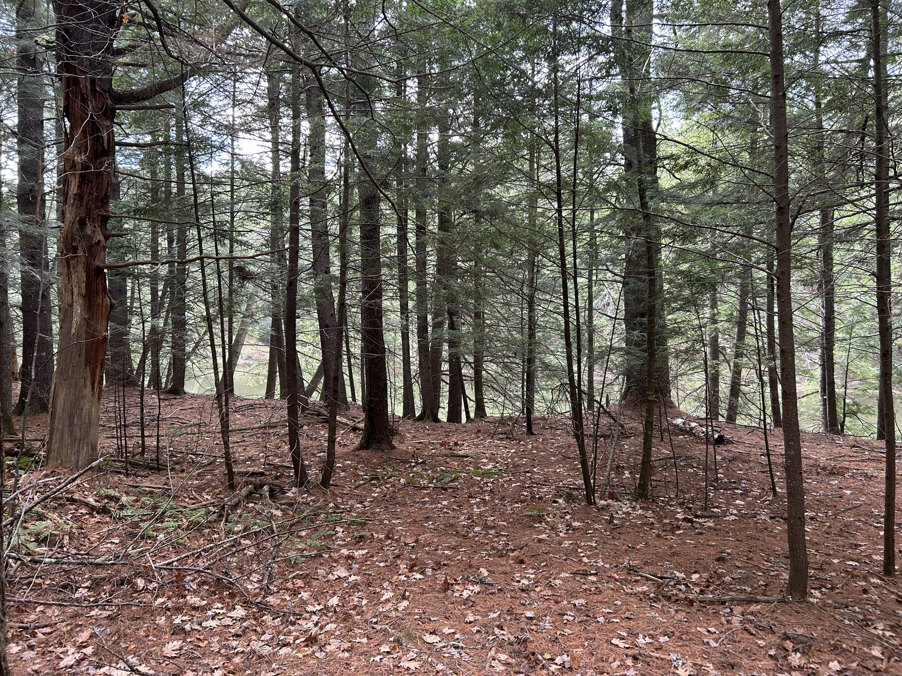 0 Stream View Drive Skowhegan ME 04976