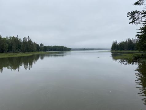 Lot 2 Gouldsboro Point Road Gouldsboro ME 04607