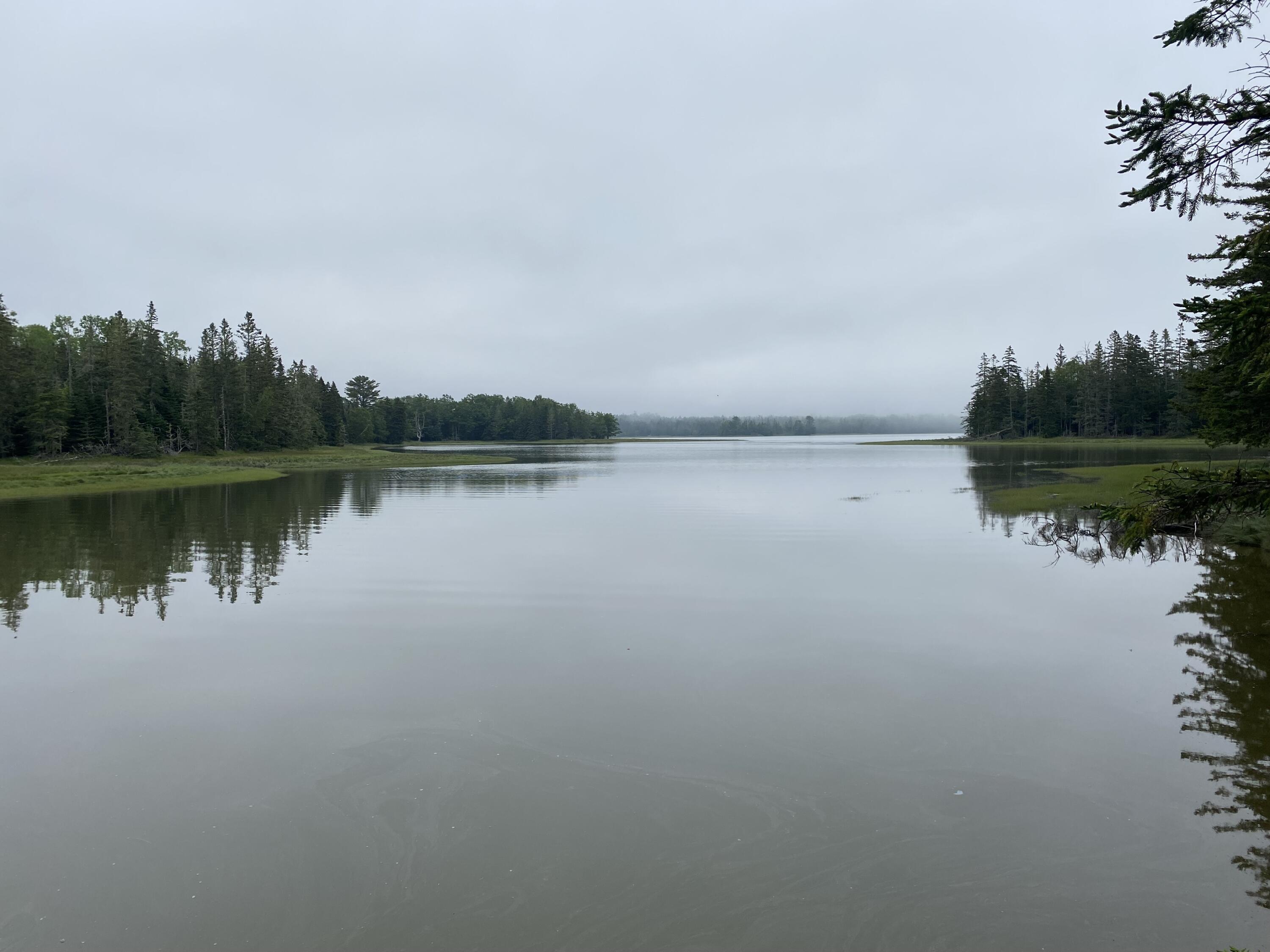 Lot 2 Gouldsboro Point Road Gouldsboro ME 04607