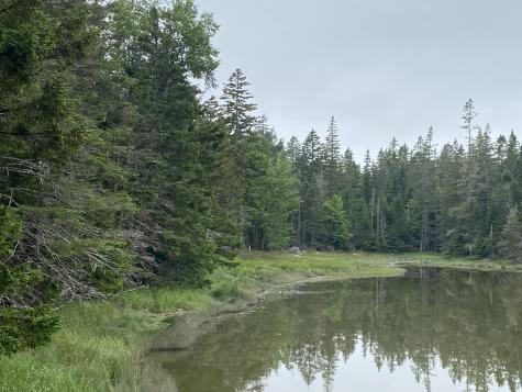 Lot 2 Gouldsboro Point Road Gouldsboro ME 04607