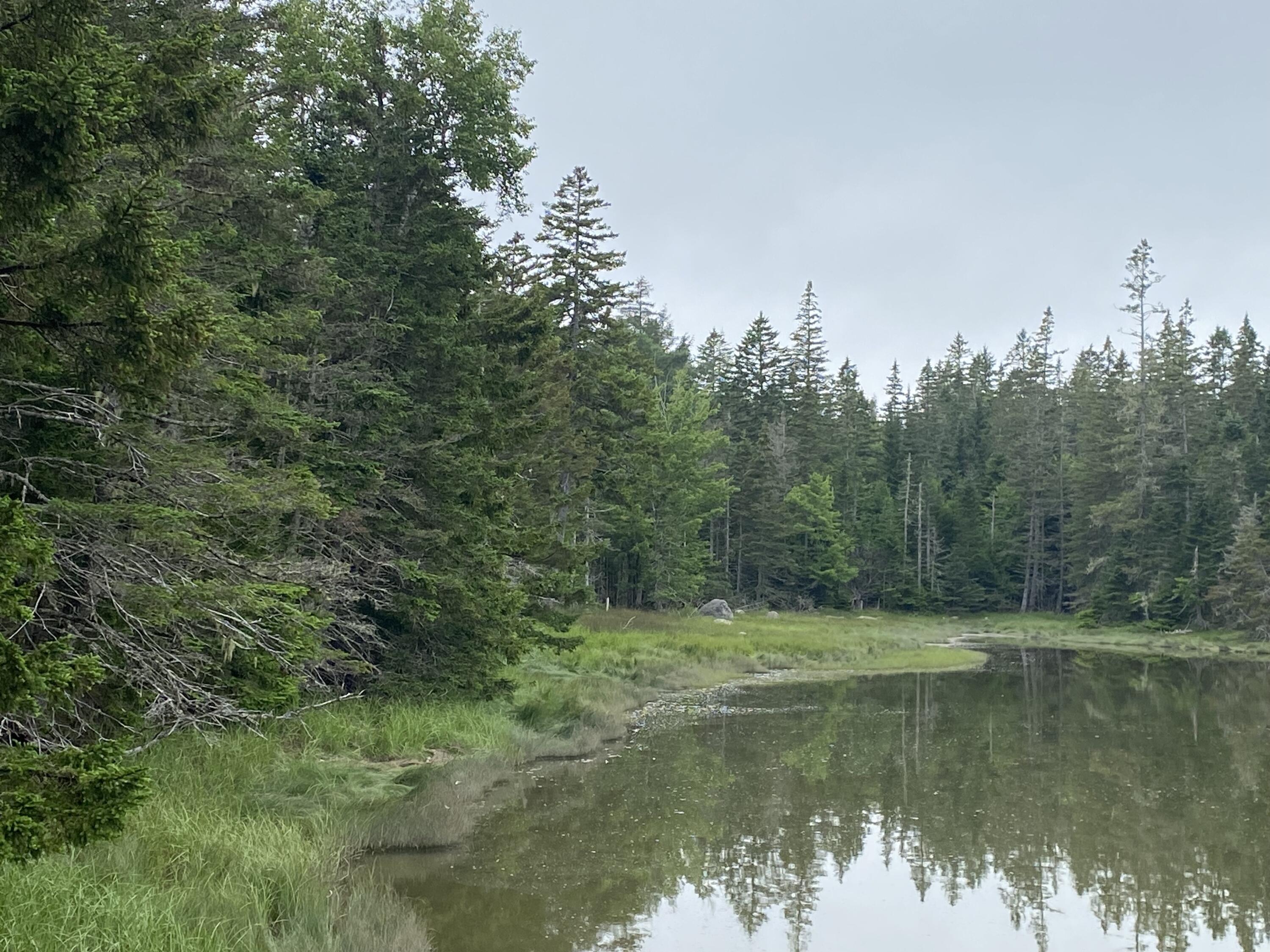 Lot 2 Gouldsboro Point Road Gouldsboro ME 04607