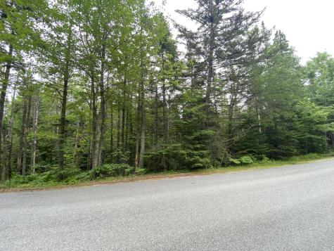 Lot 2 Gouldsboro Point Road Gouldsboro ME 04607