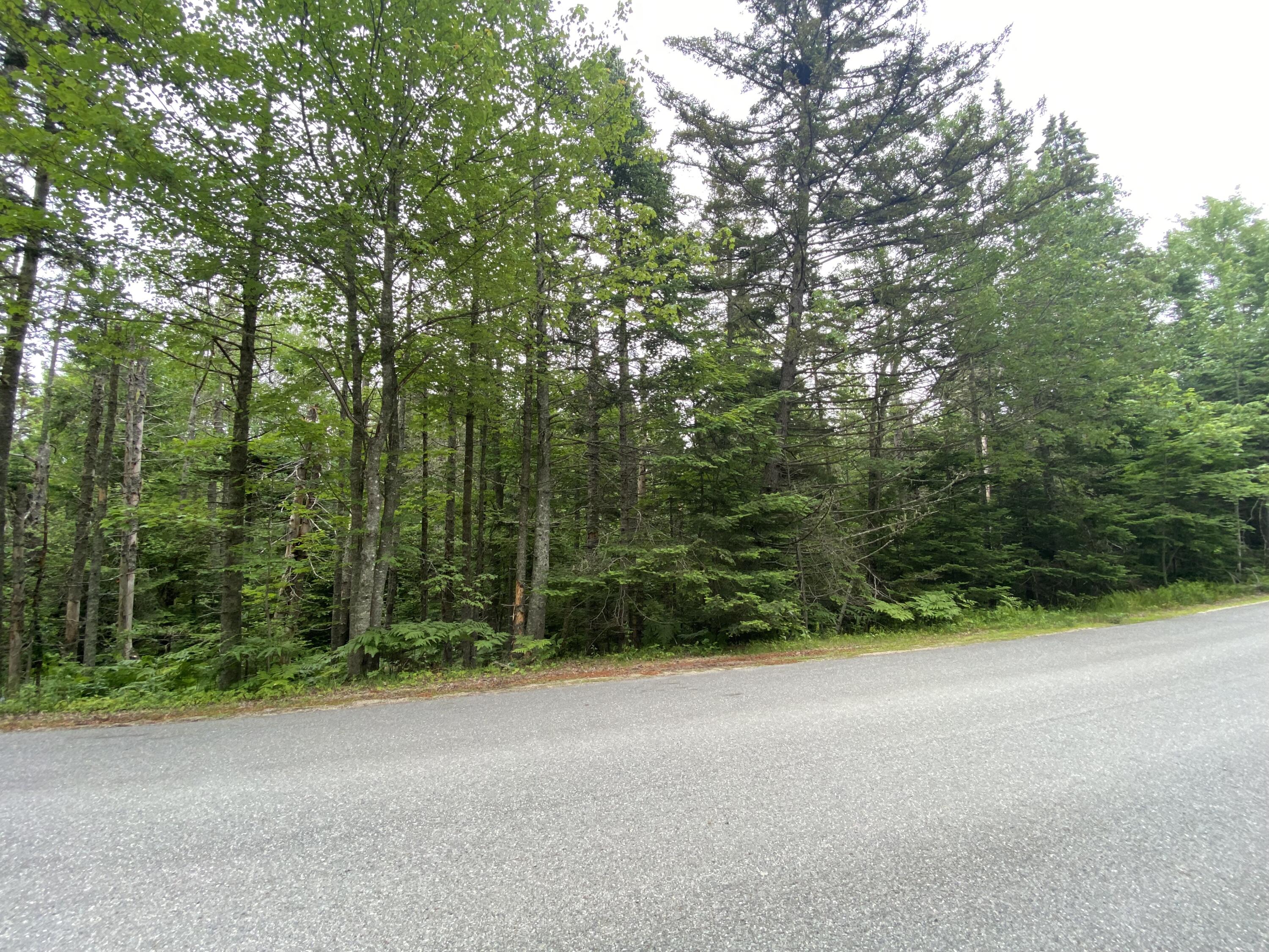 Lot 2 Gouldsboro Point Road Gouldsboro ME 04607