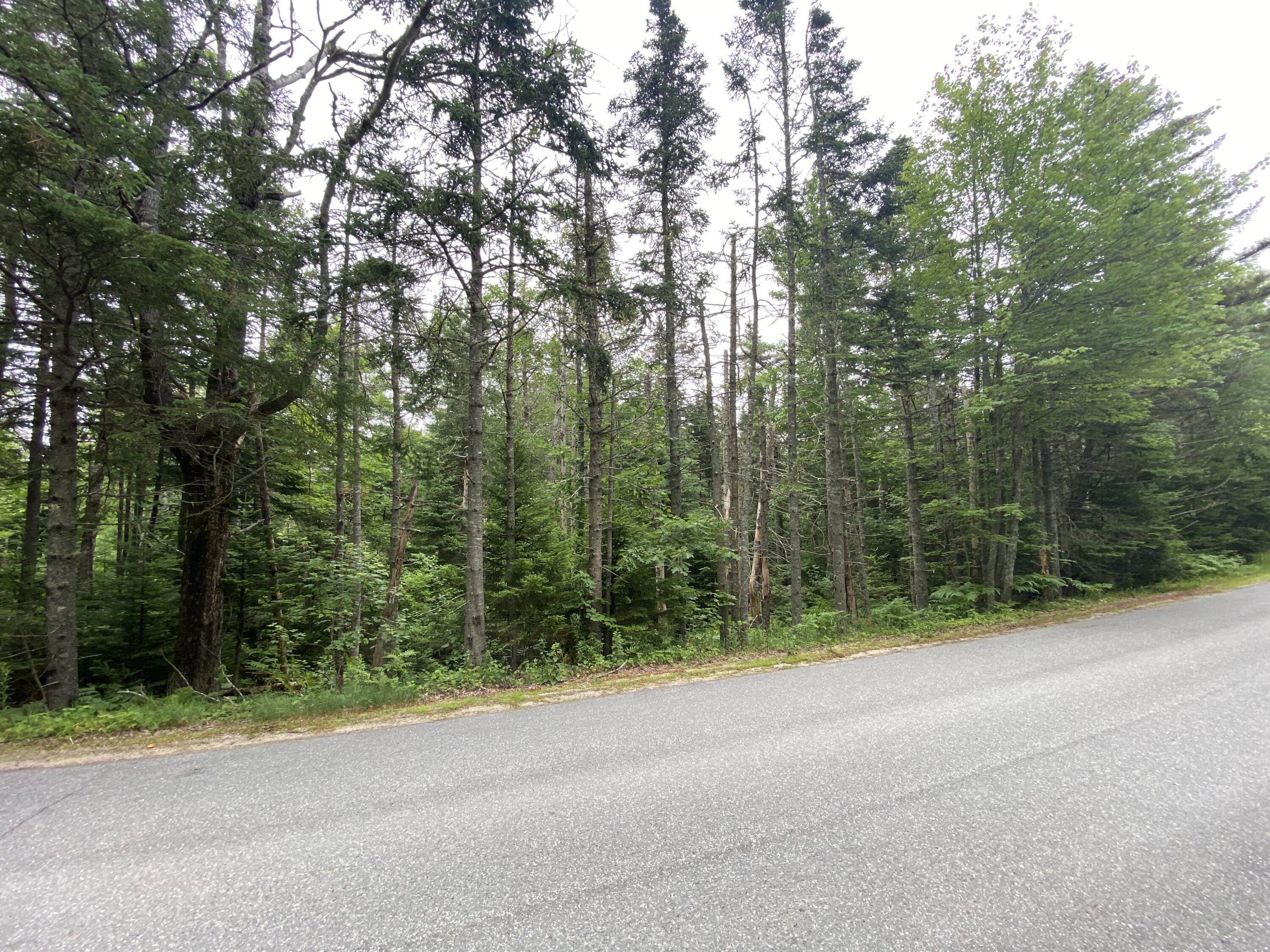 Lot 2 Gouldsboro Point Road Gouldsboro ME 04607