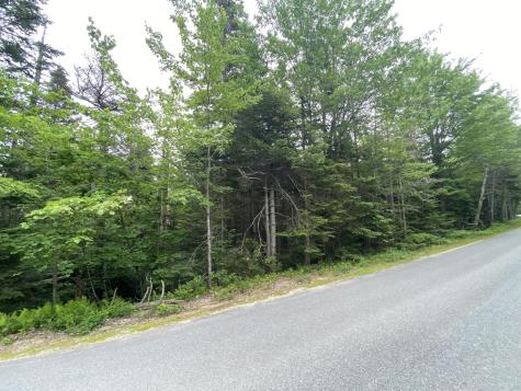 Lot 2 Gouldsboro Point Road Gouldsboro ME 04607