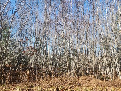 39 Sandy Ridge Lane Searsport ME 04974