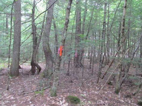 27.9 Cummings Lane Oxford ME 04270