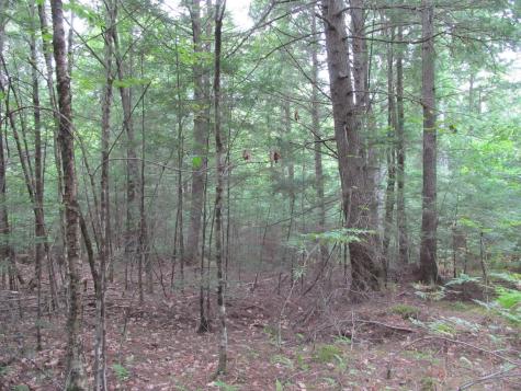 27.9 Cummings Lane Oxford ME 04270