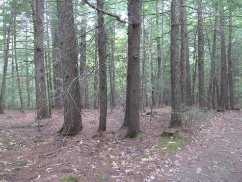 27.9 Cummings Lane Oxford ME 04270