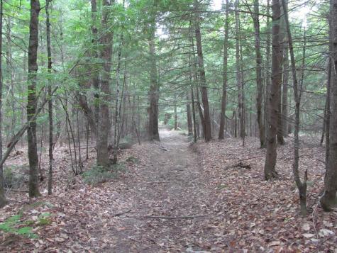 27.9 Cummings Lane Oxford ME 04270