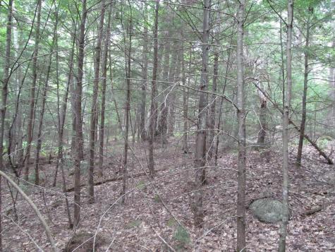 27.9 Cummings Lane Oxford ME 04270