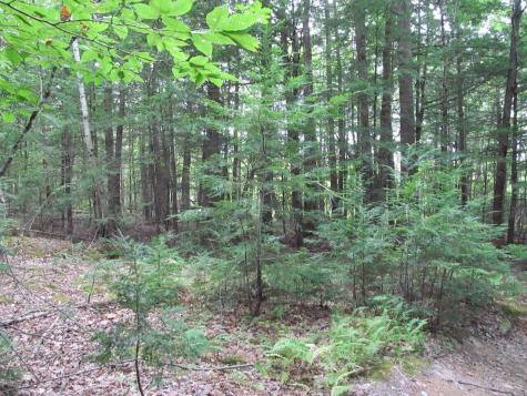 27.9 Cummings Lane Oxford ME 04270