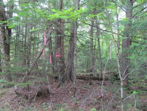 27.9 Cummings Lane Oxford ME 04270