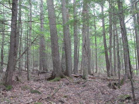 27.9 Cummings Lane Oxford ME 04270