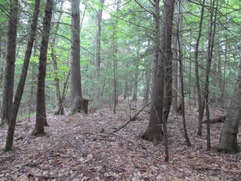 27.9 Cummings Lane Oxford ME 04270