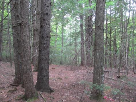 27.9 Cummings Lane Oxford ME 04270