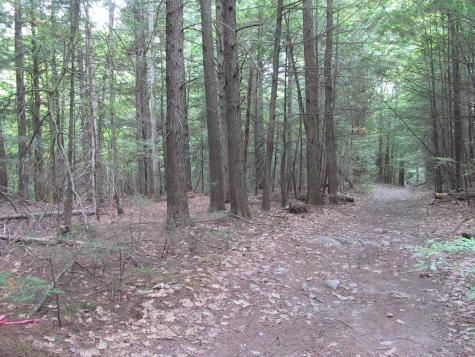 27.9 Cummings Lane Oxford ME 04270