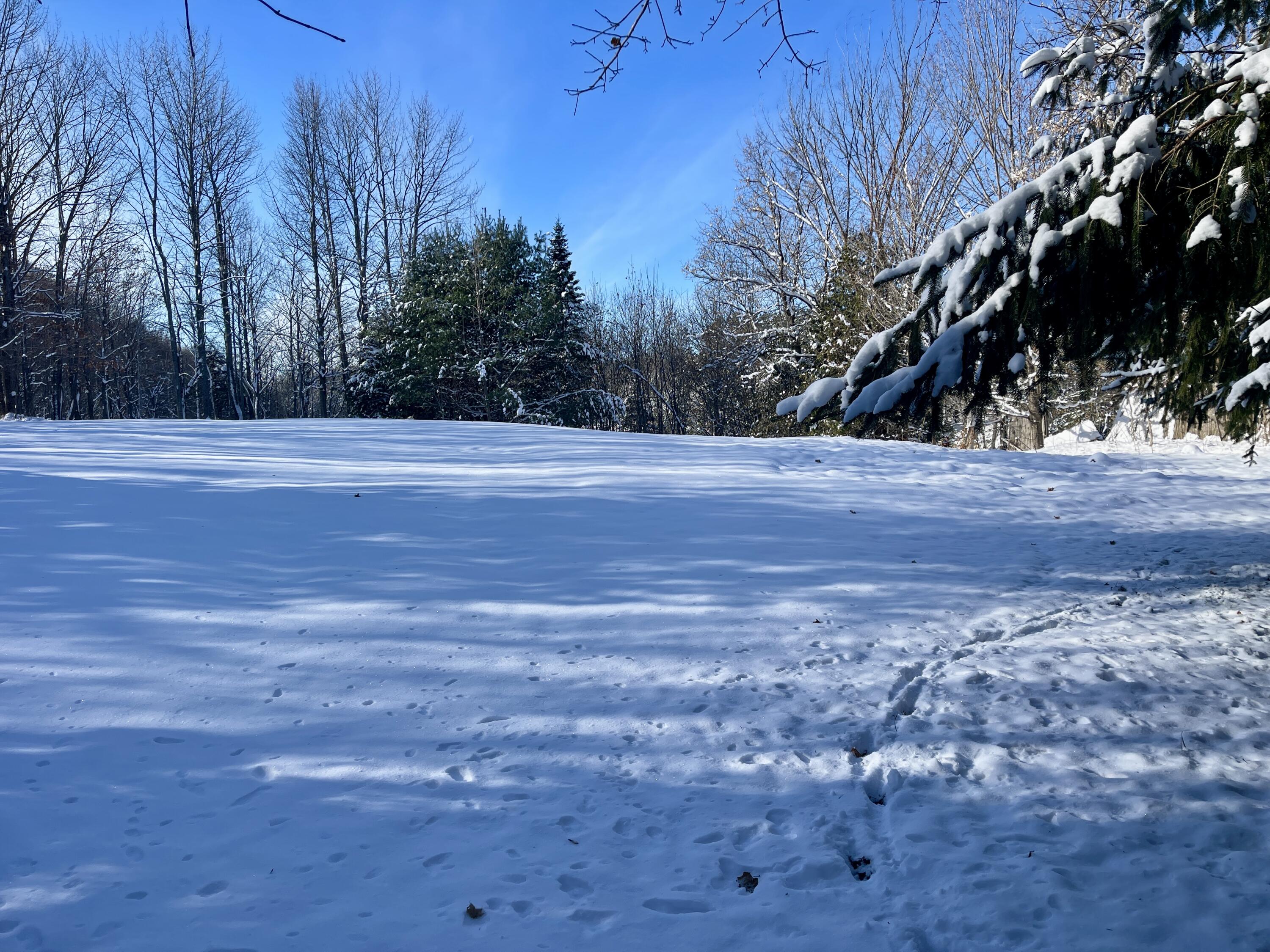 15 Whitney Street Calais ME 04619