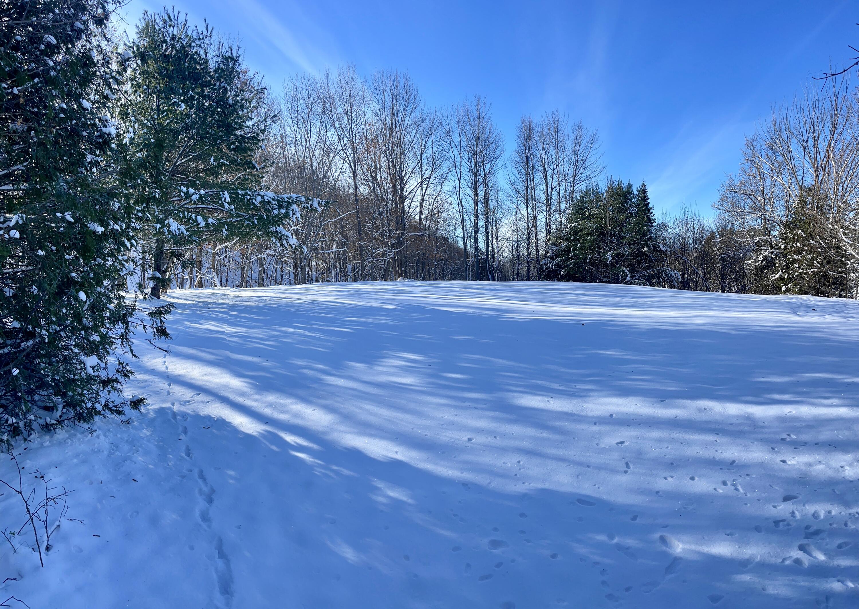 15 Whitney Street Calais ME 04619