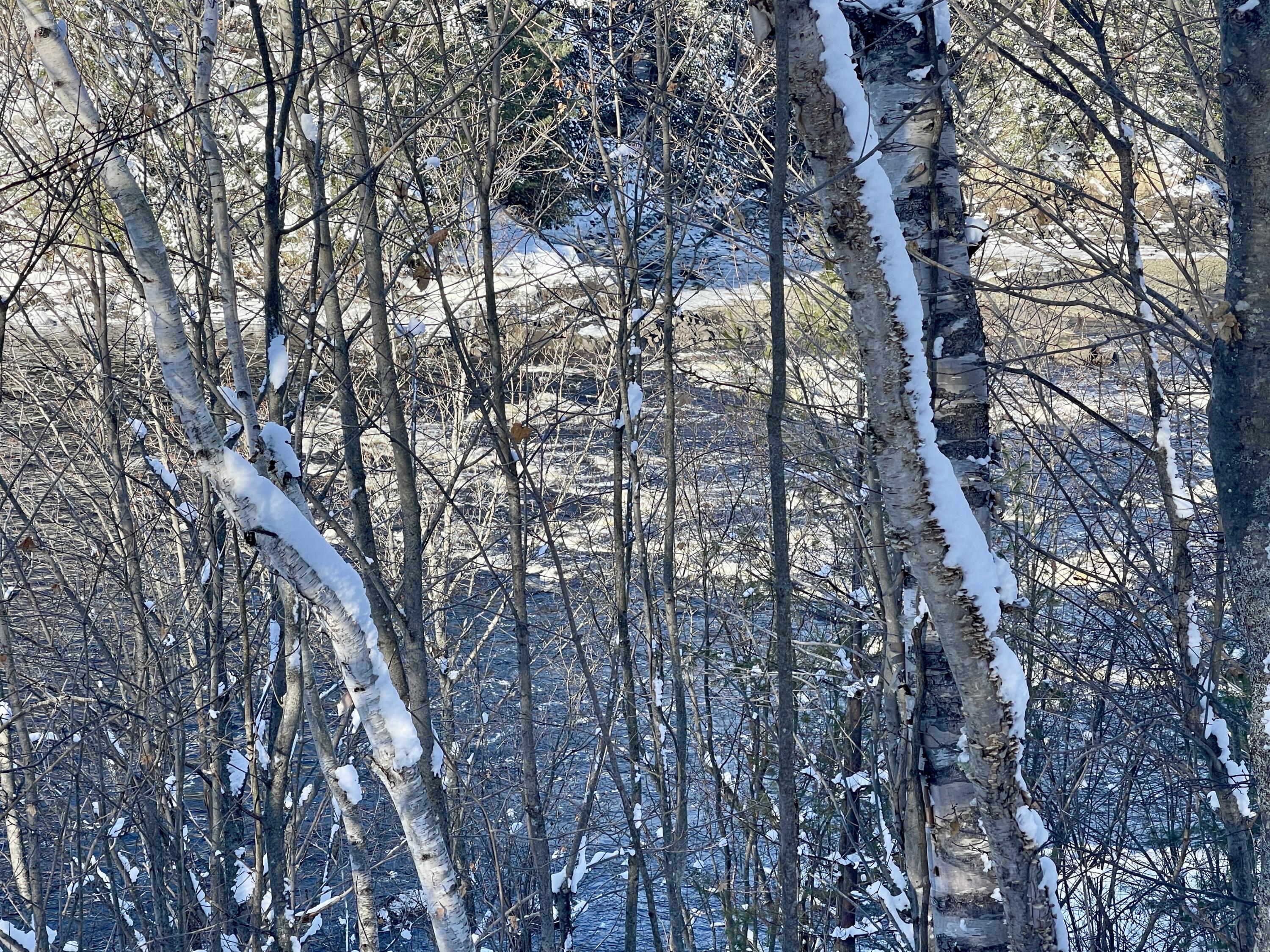 15 Whitney Street Calais ME 04619