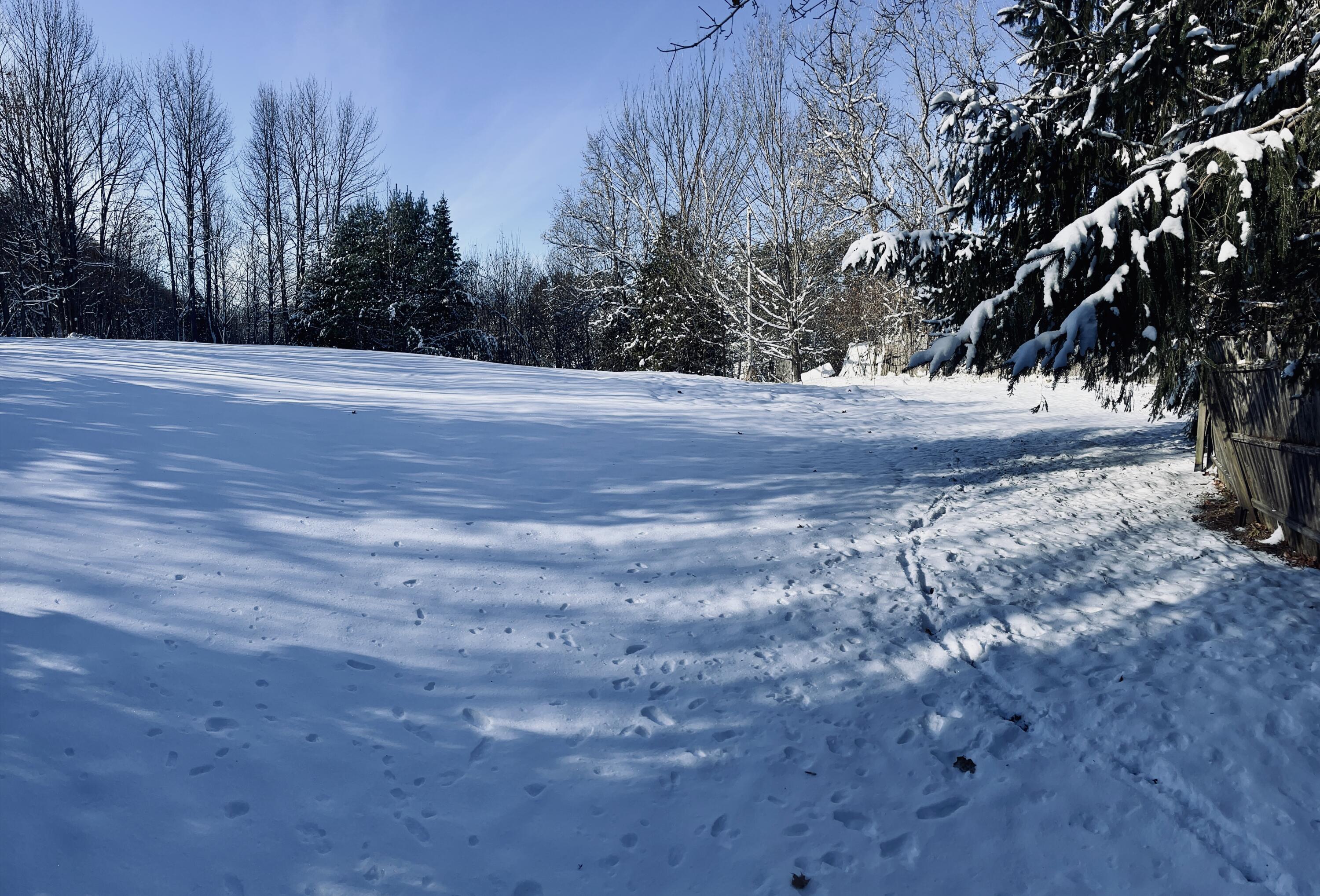 15 Whitney Street Calais ME 04619