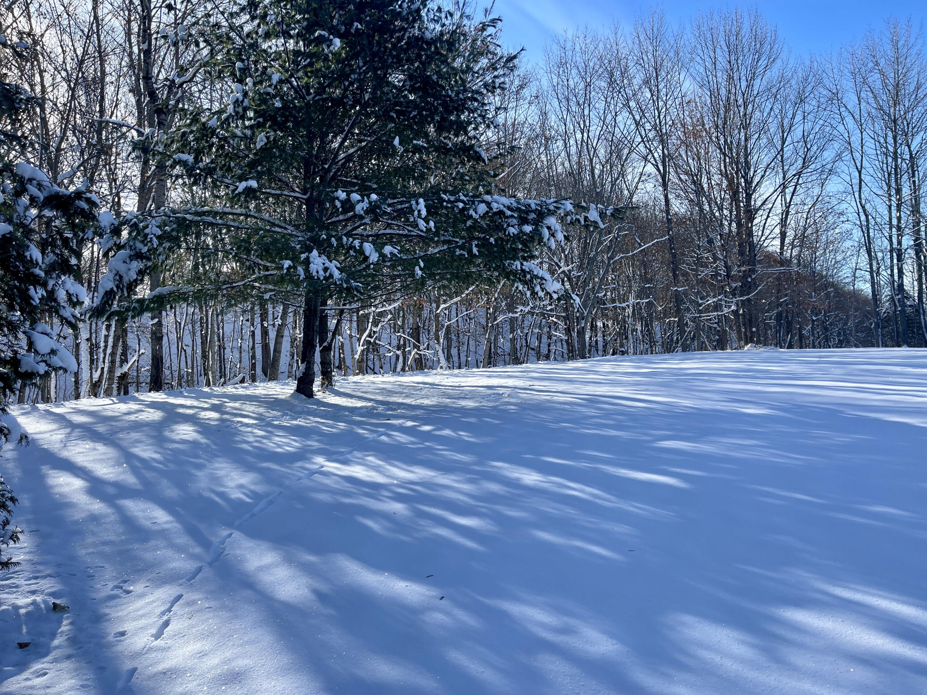 15 Whitney Street Calais ME 04619