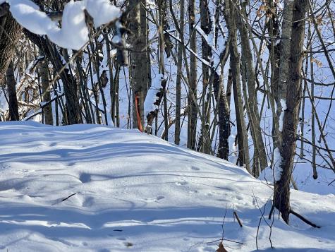 15 Whitney Street Calais ME 04619