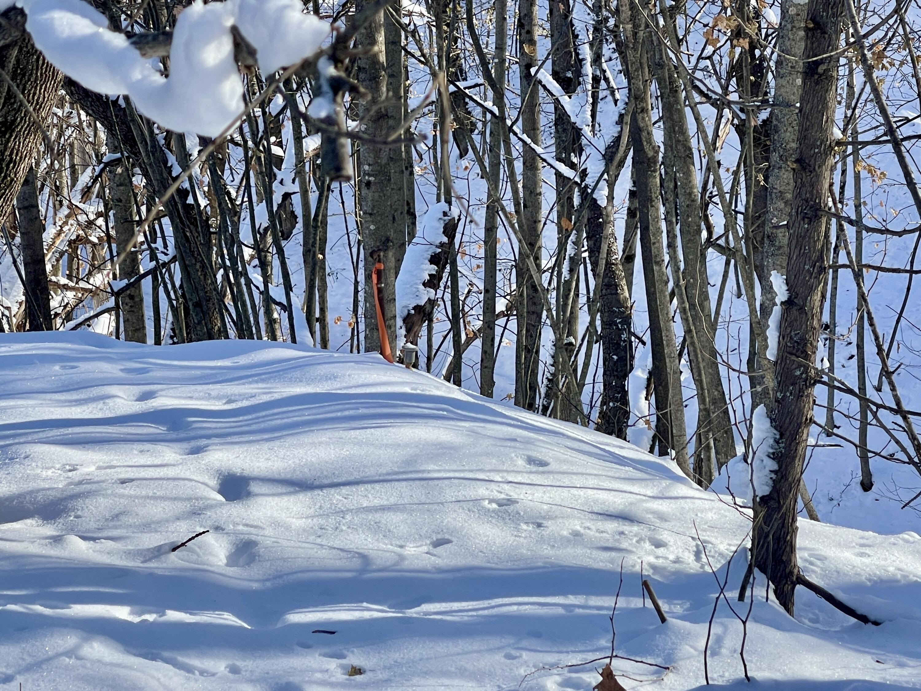 15 Whitney Street Calais ME 04619