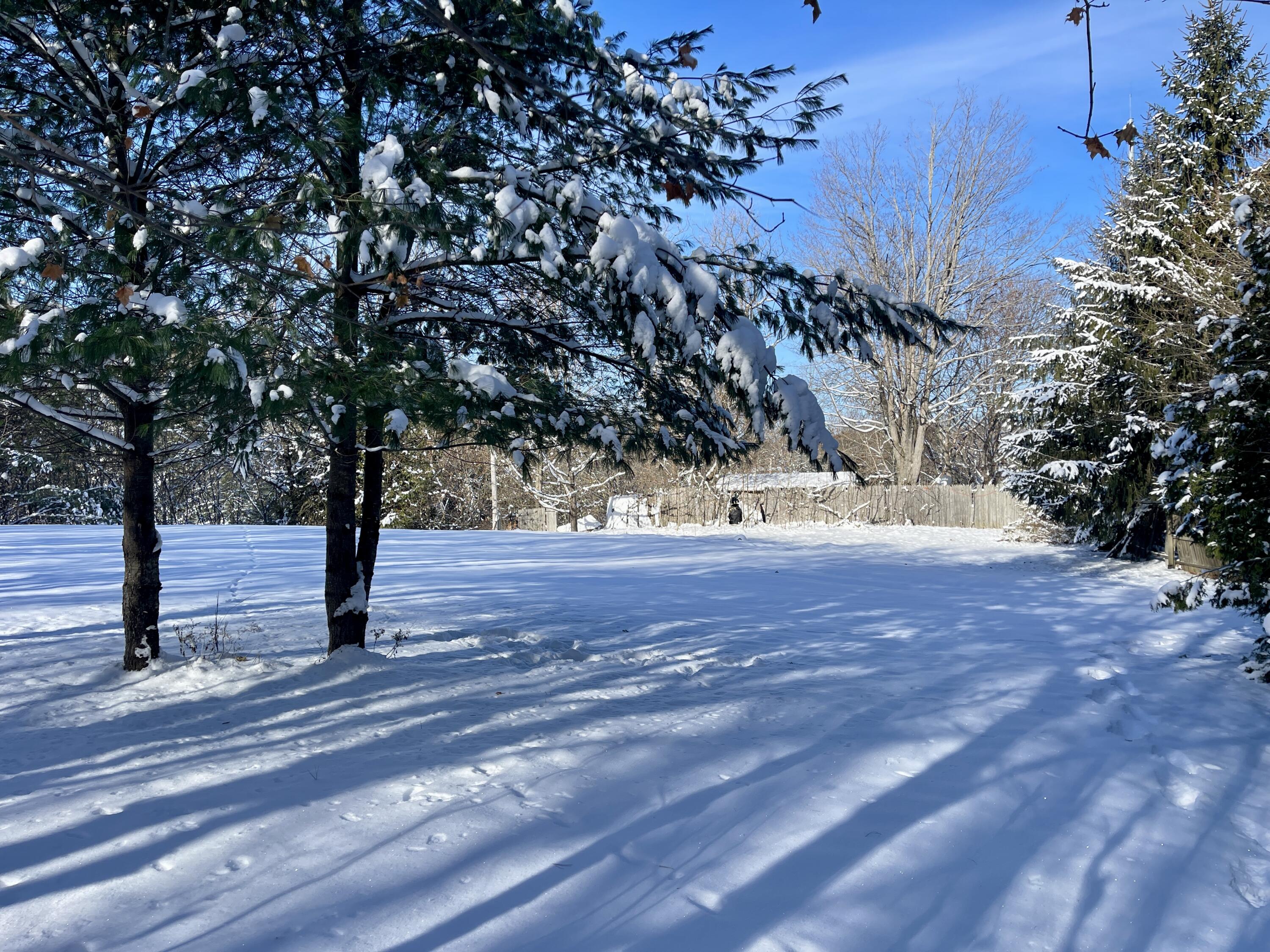 15 Whitney Street Calais ME 04619