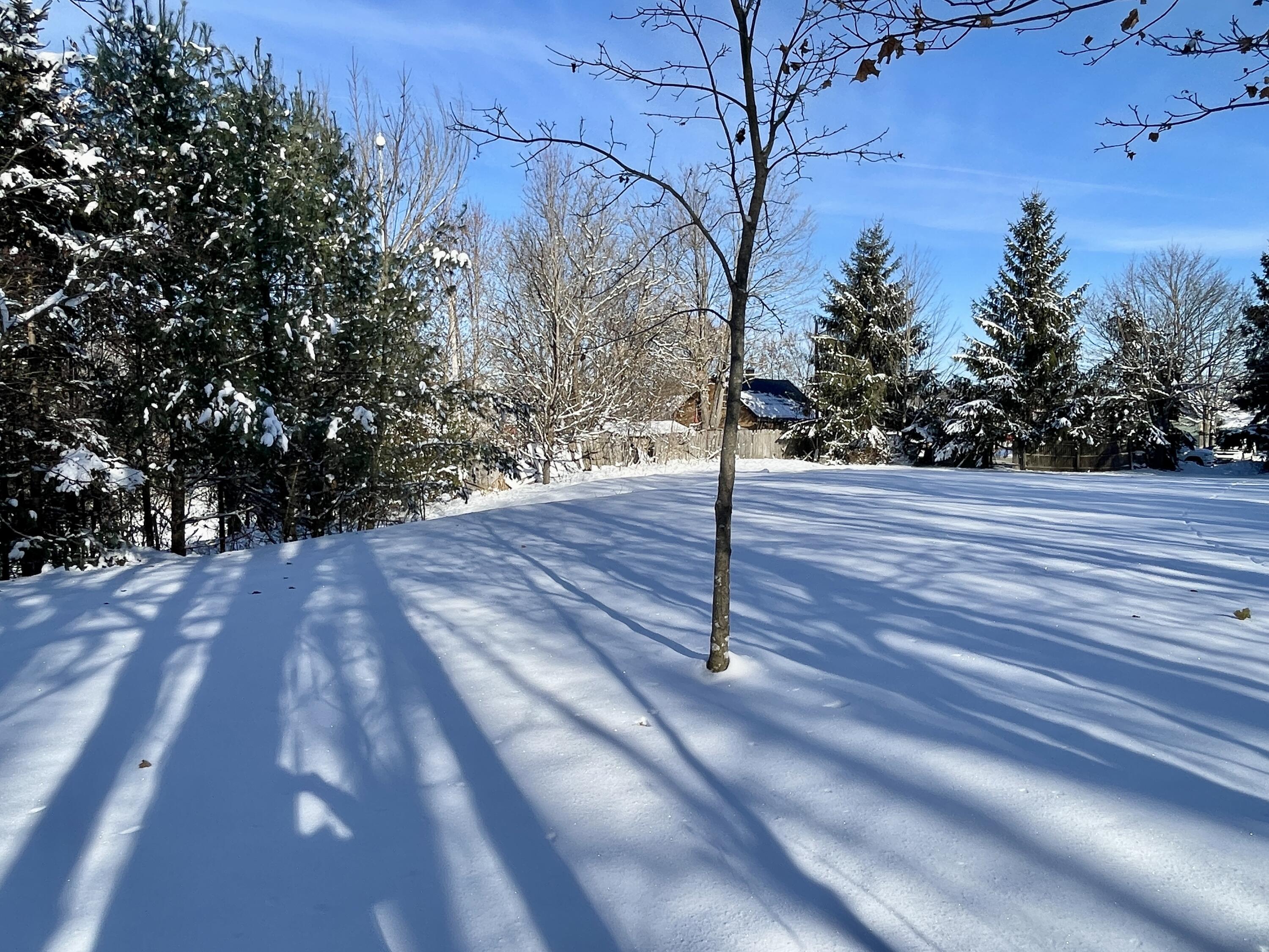 15 Whitney Street Calais ME 04619