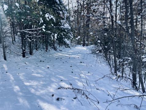 15 Whitney Street Calais ME 04619