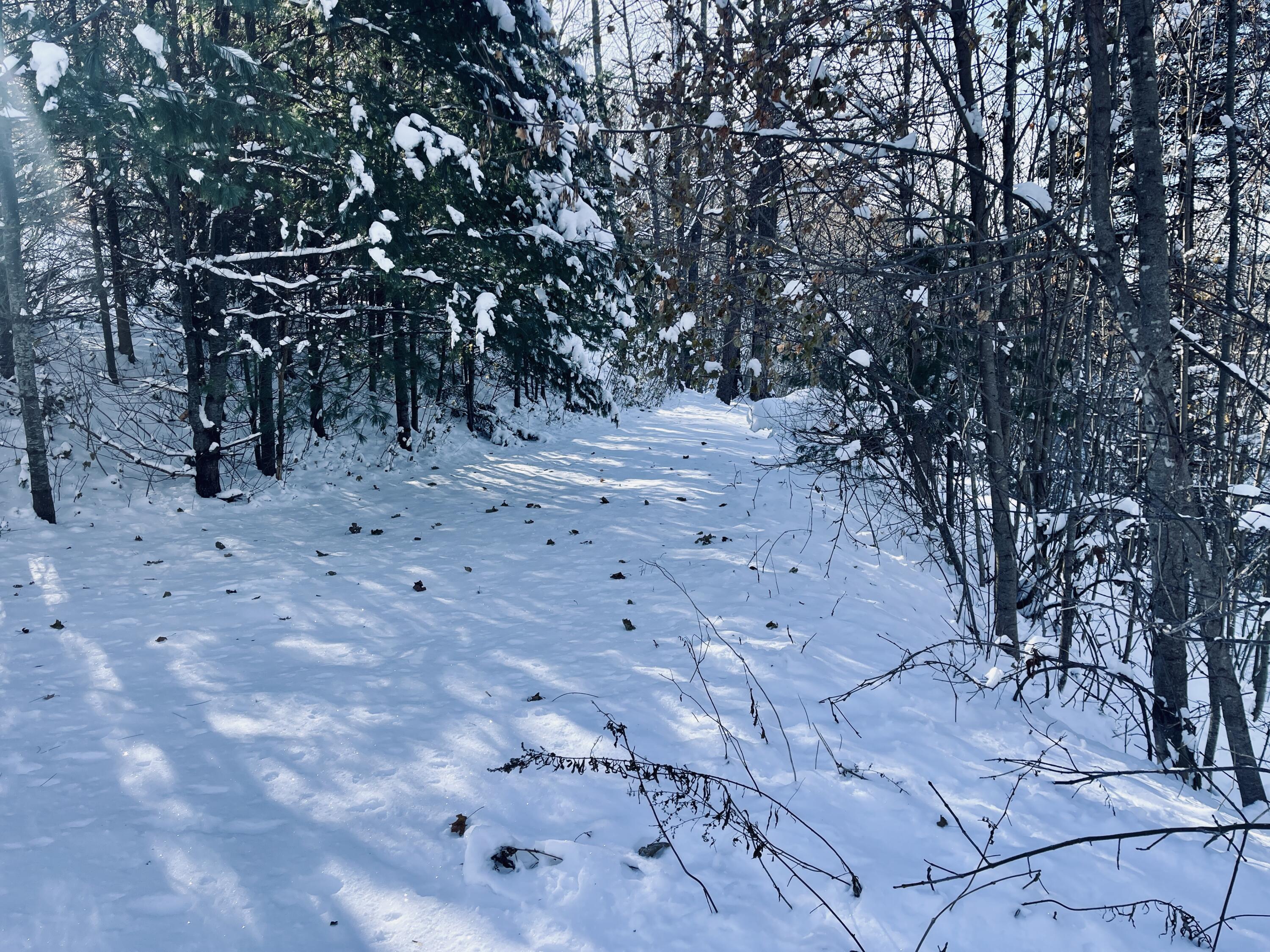 15 Whitney Street Calais ME 04619