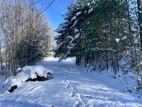 15 Whitney Street Calais ME 04619